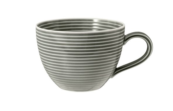 Seltmann Weiden Kaffeeobertasse 0,26 l mit Beat 3 Perlgrau