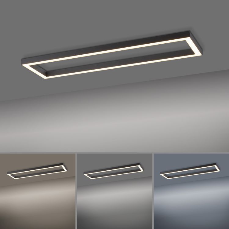 Paul Neuhaus LED-Deckenleuchte PURE LINES SQUARE 1-flammig in Farbe anthrazit, Deckenleuchte