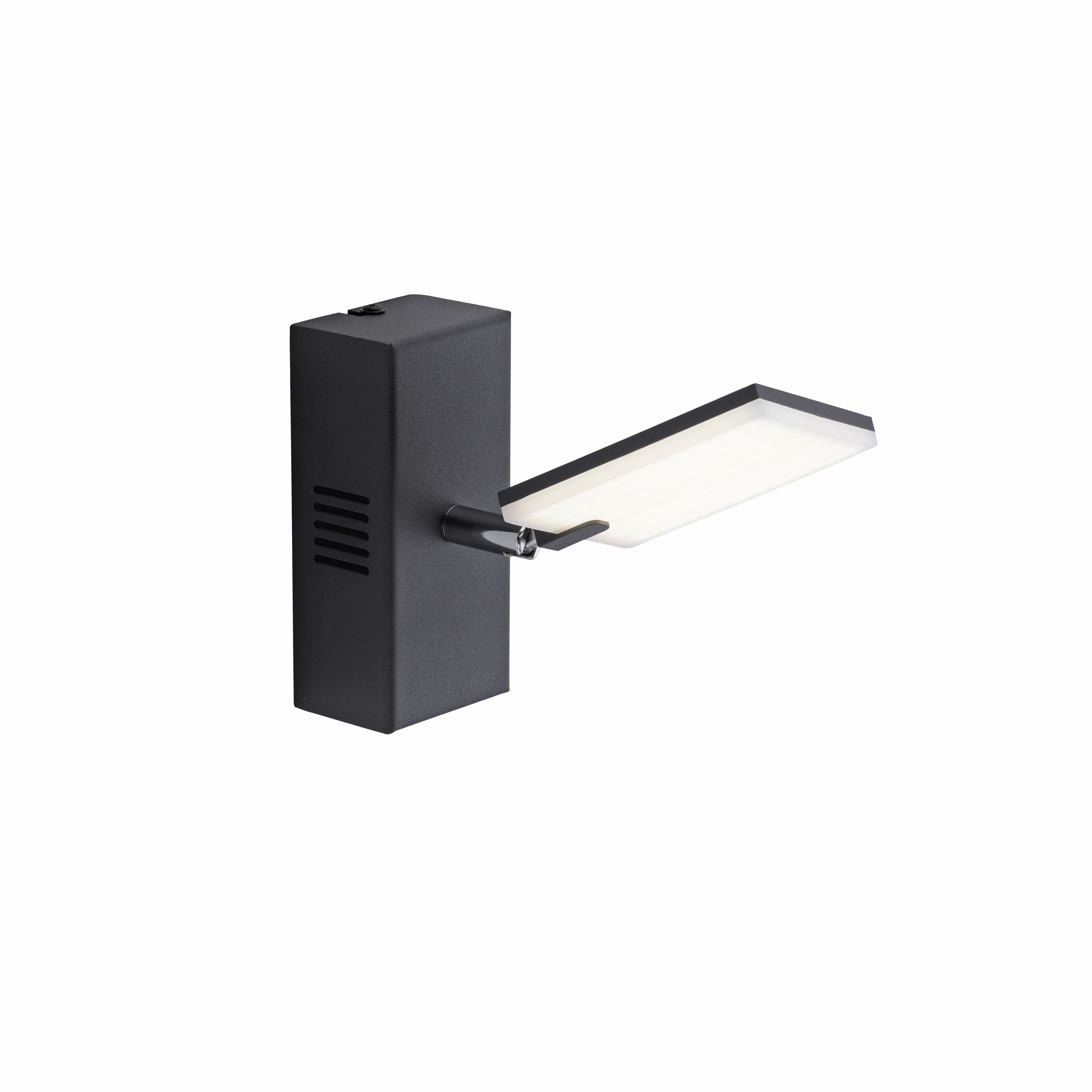 Paul Neuhaus LED-Wandleuchte PURE MIRA 1-flammig in Farbe schwarz