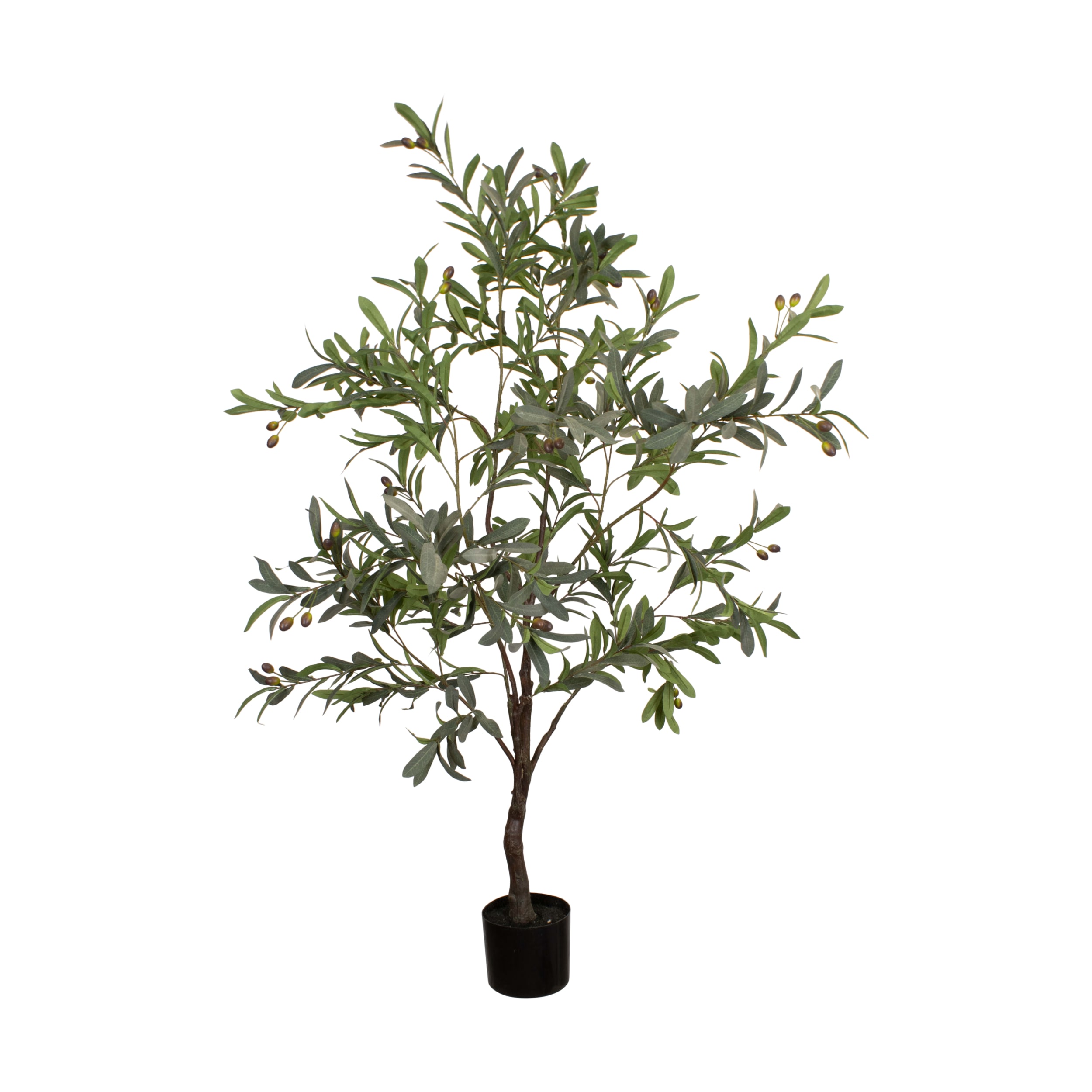 Dijk Natural Collections Pflanze in Farbe grün, Pflanze, Baum, Topfpflanze, Blatt, Blumen-Arrangement