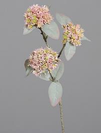 DPI Virburnum 62 cm 43705 in mit 3 Blütenköpfen