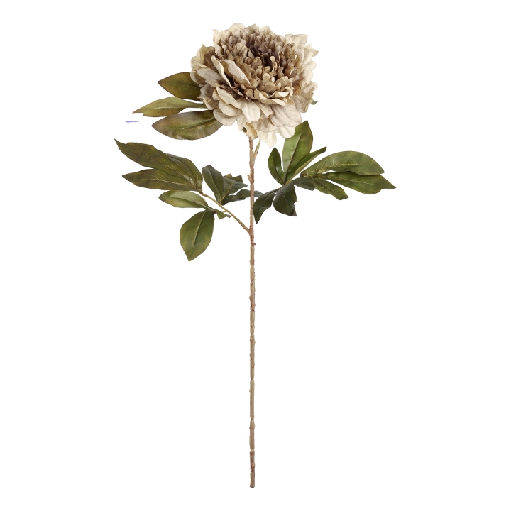 Eglo Living Kunstblume Pfingstrose SEMPORNA in Fb. braun, Blatt, Blume, Blumen-Arrangement, Dahlie, Topfpflanze