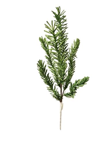 Rosmarin, 90 cm  in grün