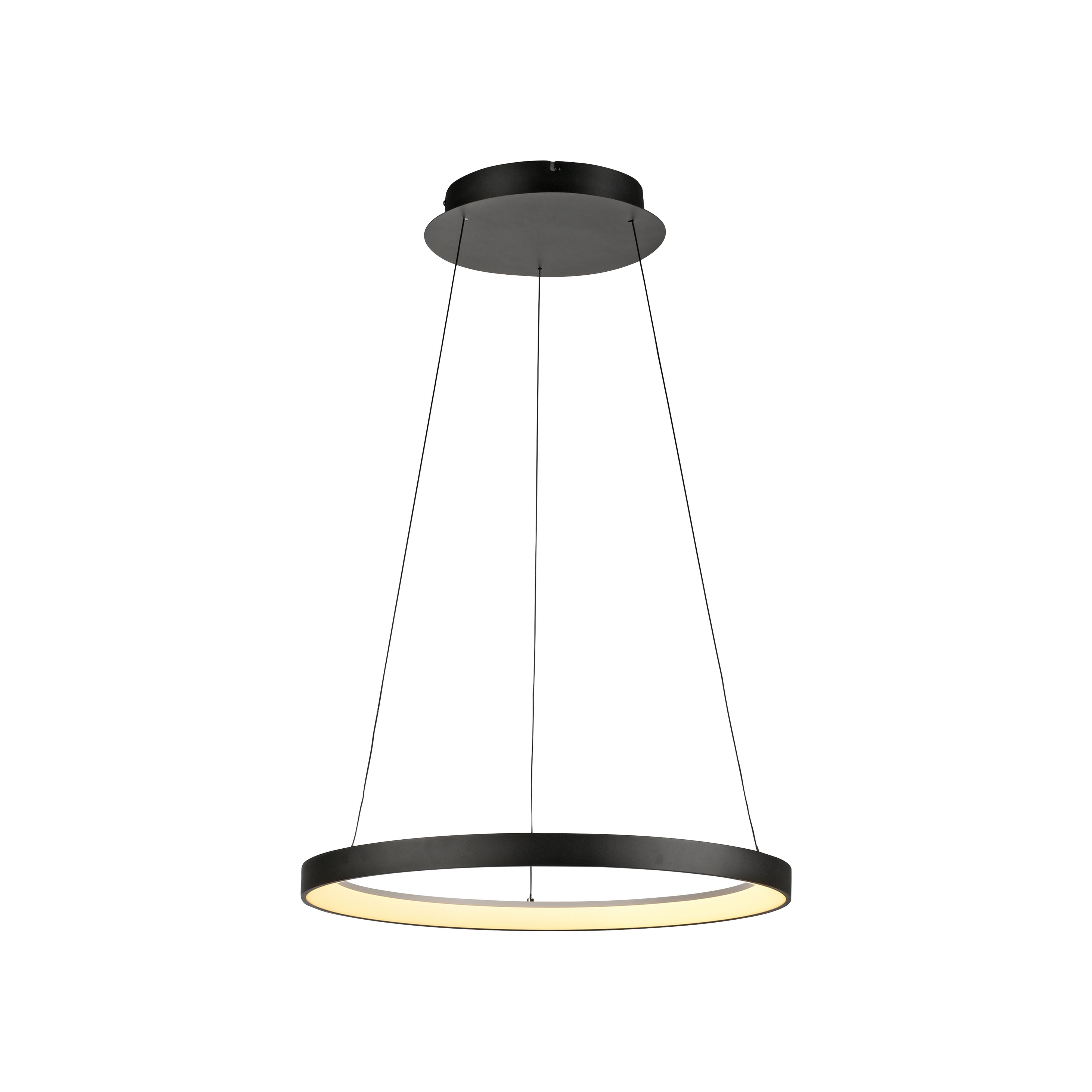 Paul Neuhaus LED-Pendelleuchte HOOP 1-flammig in Farbe schwarz, Lampe, Kronleuchter