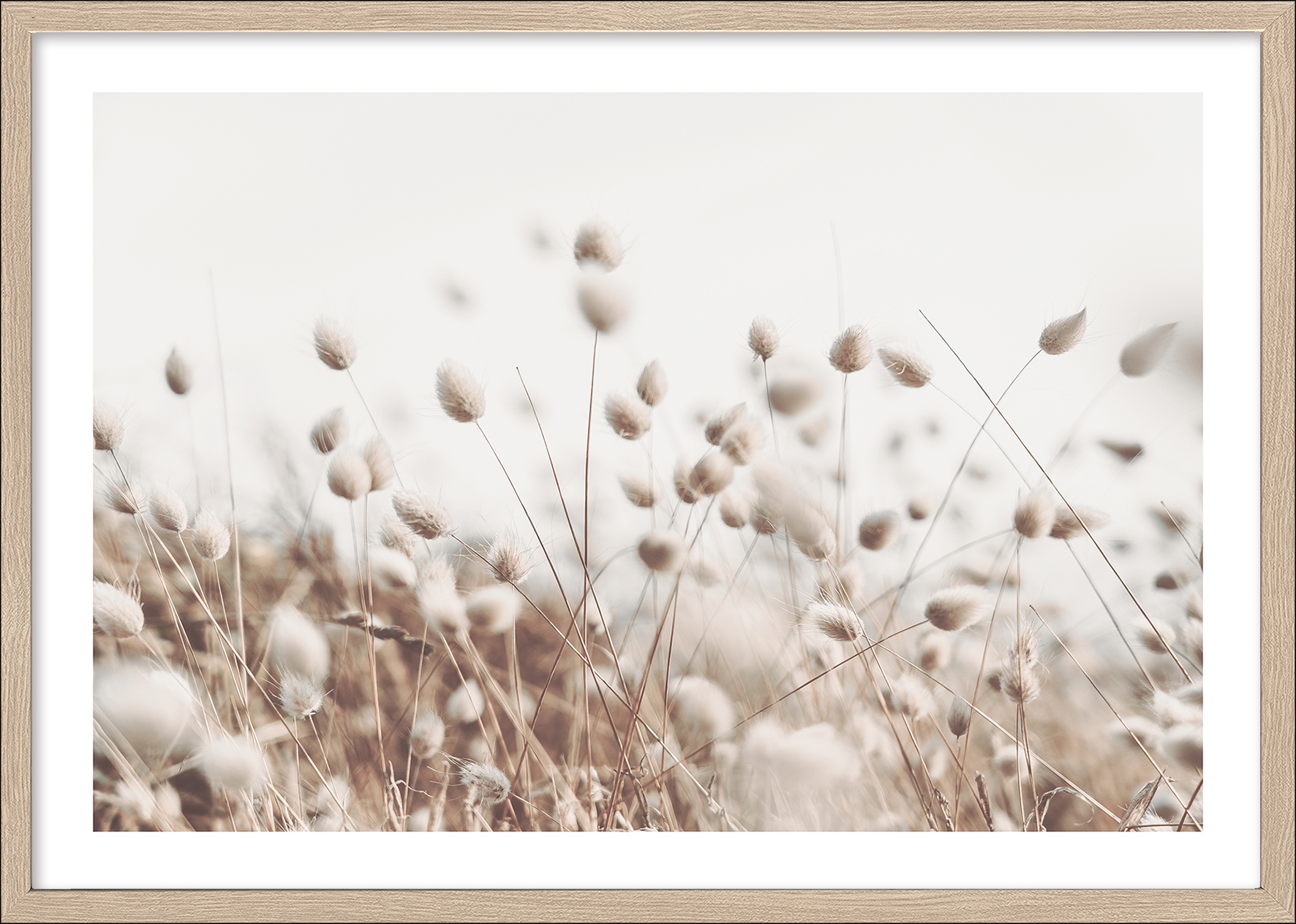 PRO ART Framed-Art Scandic Living 105x75cm Dried Fiber In The Wind II