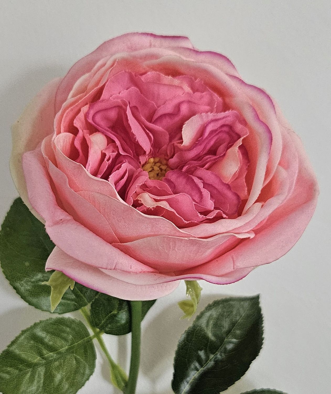 Englische Rose 65 cm  in Real Toch soft, rosa
