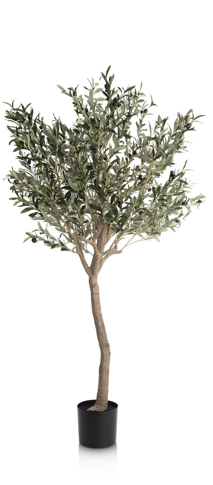 Coco Maison Kunstblume  ca. B50 H180 T50 cm in olive tree
