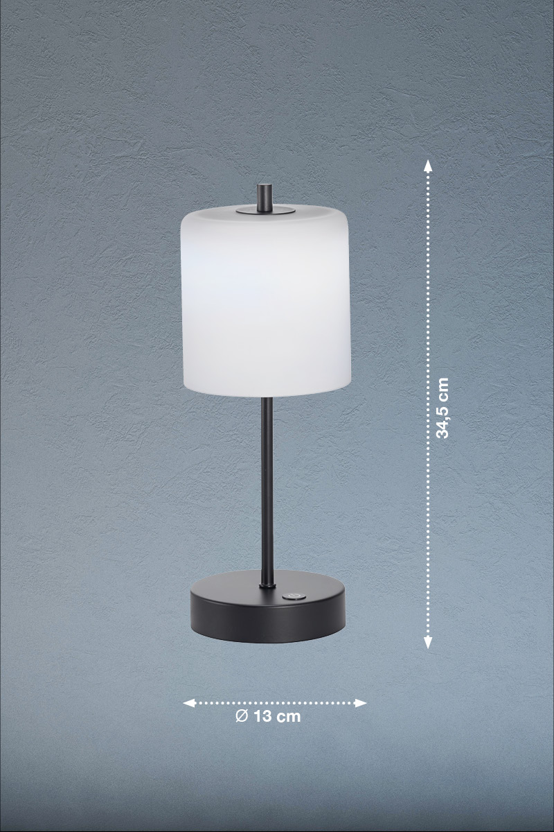FH Lighting LED-Tischleuchte RIVA in Metall sandschwarz, Glas opal