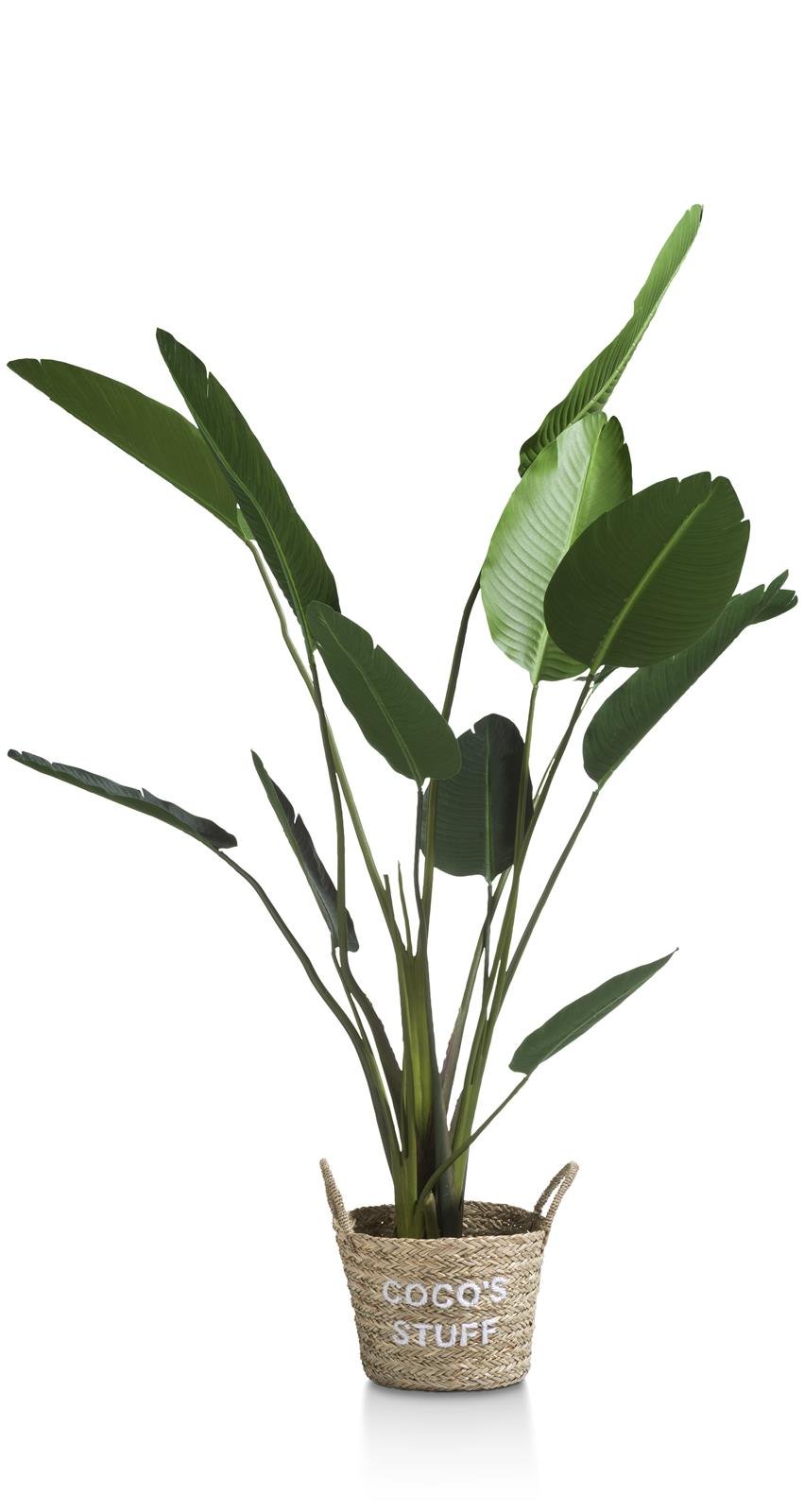 Coco Maison Kunstblume  ca. H150 cm in Strelitzia Nicolai