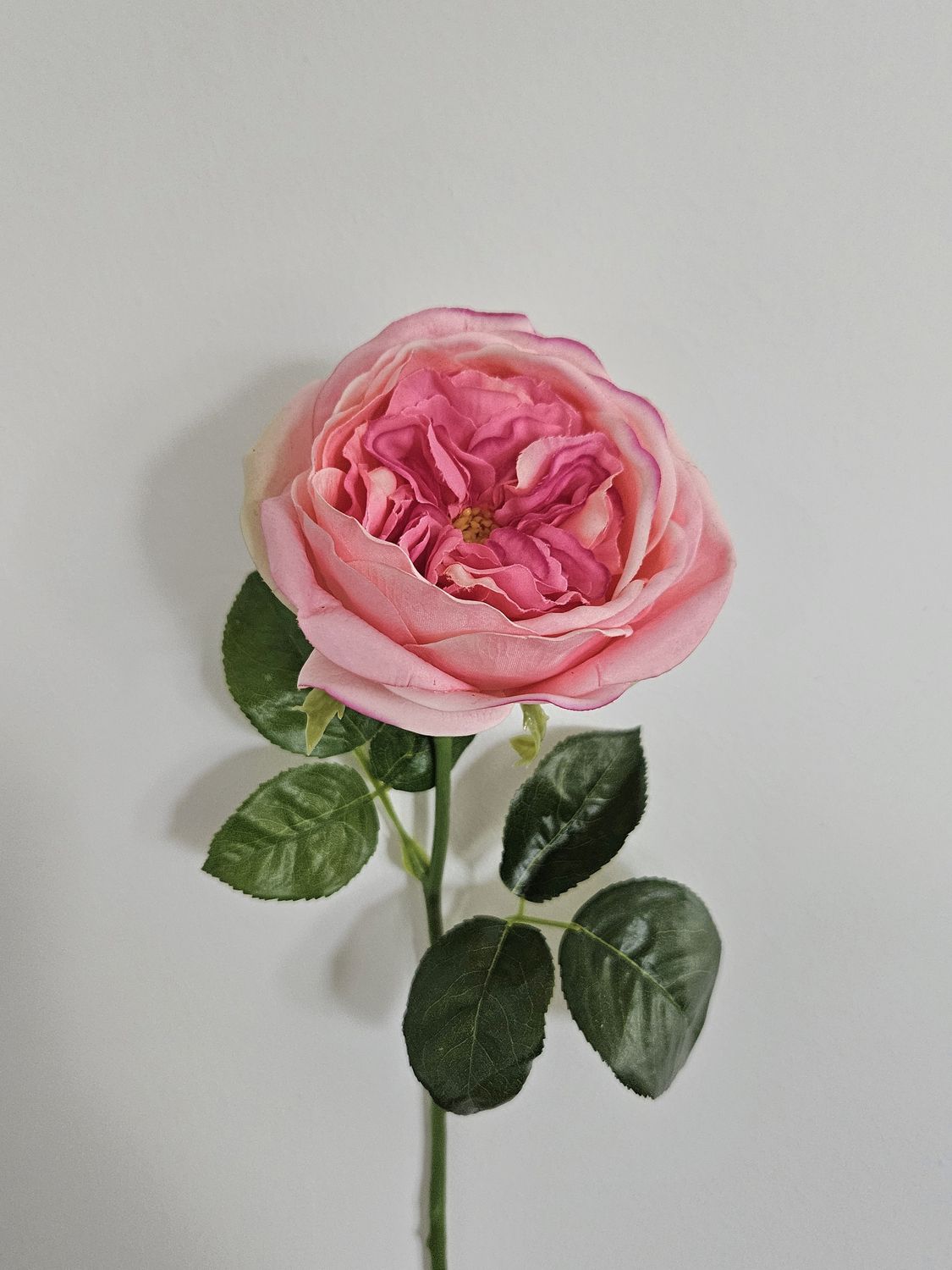Englische Rose 65 cm  in Real Toch soft, rosa