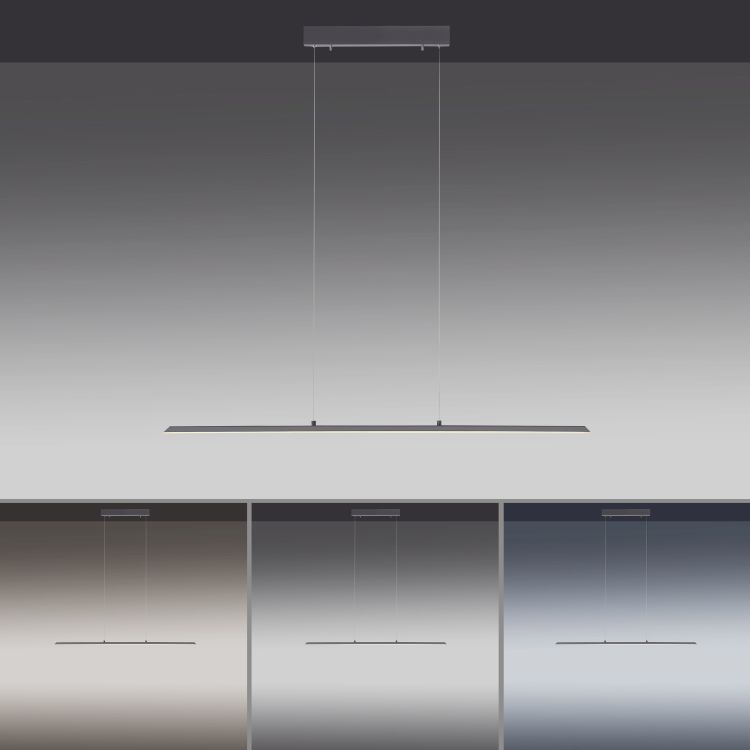 Paul Neuhaus LED-Pendelleuchte PURE LITE 1-flammig in Farbe anthrazit, Drinnen