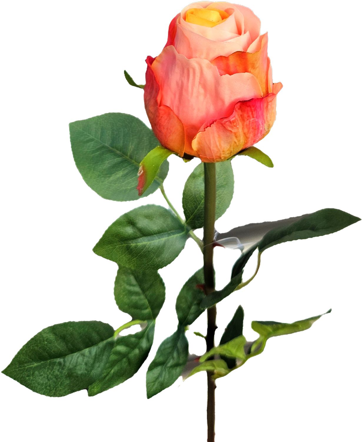 Andreas Kolumbianische Rose,75cm,SFT KUNSTROSE in Real Touch soft orange