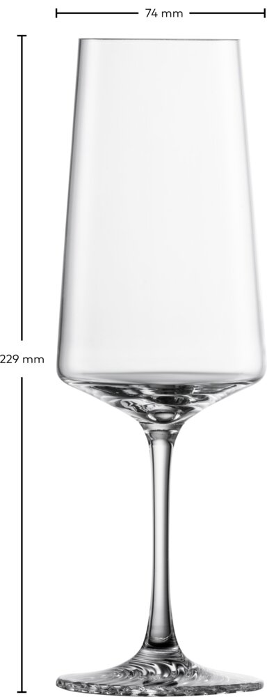 Zwiesel Glas Champagneglas ECHO 395ml