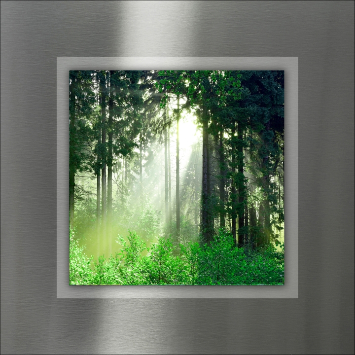 ProArt Double-Alu -Acryl bedruckt mit Aufsatz aus Acryl 50x50cm Mystic Forest III