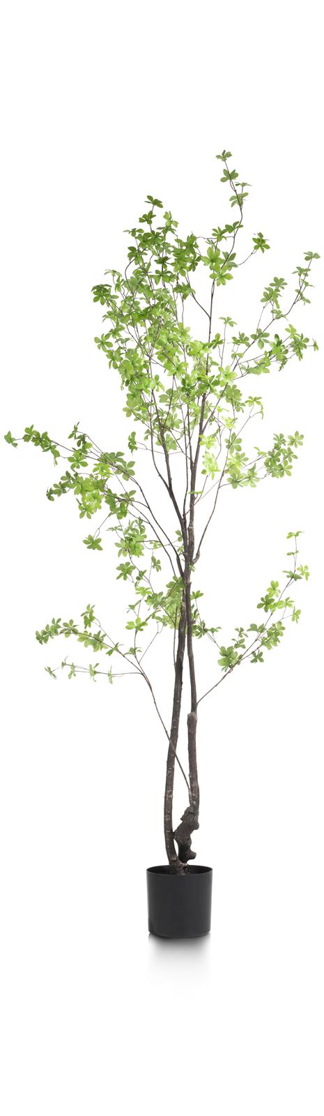 Coco Maison Kunstblume  in Tropaeolum