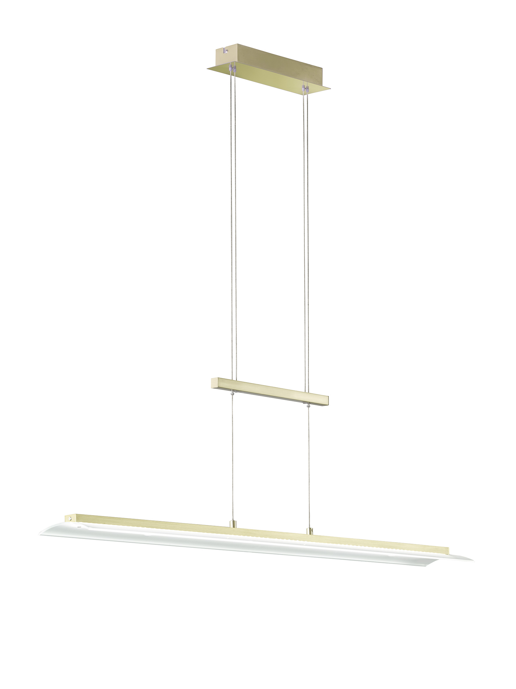 Fischer & Honsel LED-Pendelleuchte ROOF in Messing matt/Abdeckglas teilsatiniert Rand klar