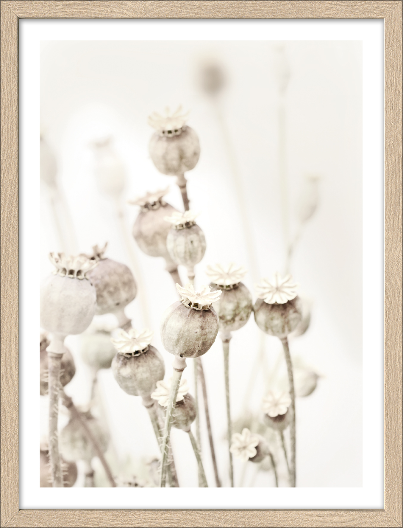 ProArt Framed-Art Slim Scandic 33x43cm Dried Poppies