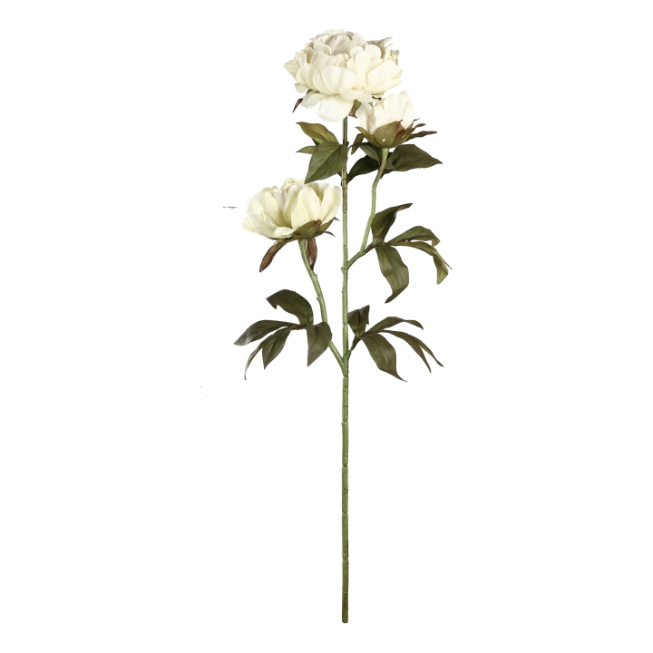 Eglo Living Kunstblume Pfingstrose SEMPORNA in Fb. creme, Blume, Pflanze, Rose, Blumen-Arrangement, Blumenstrauß