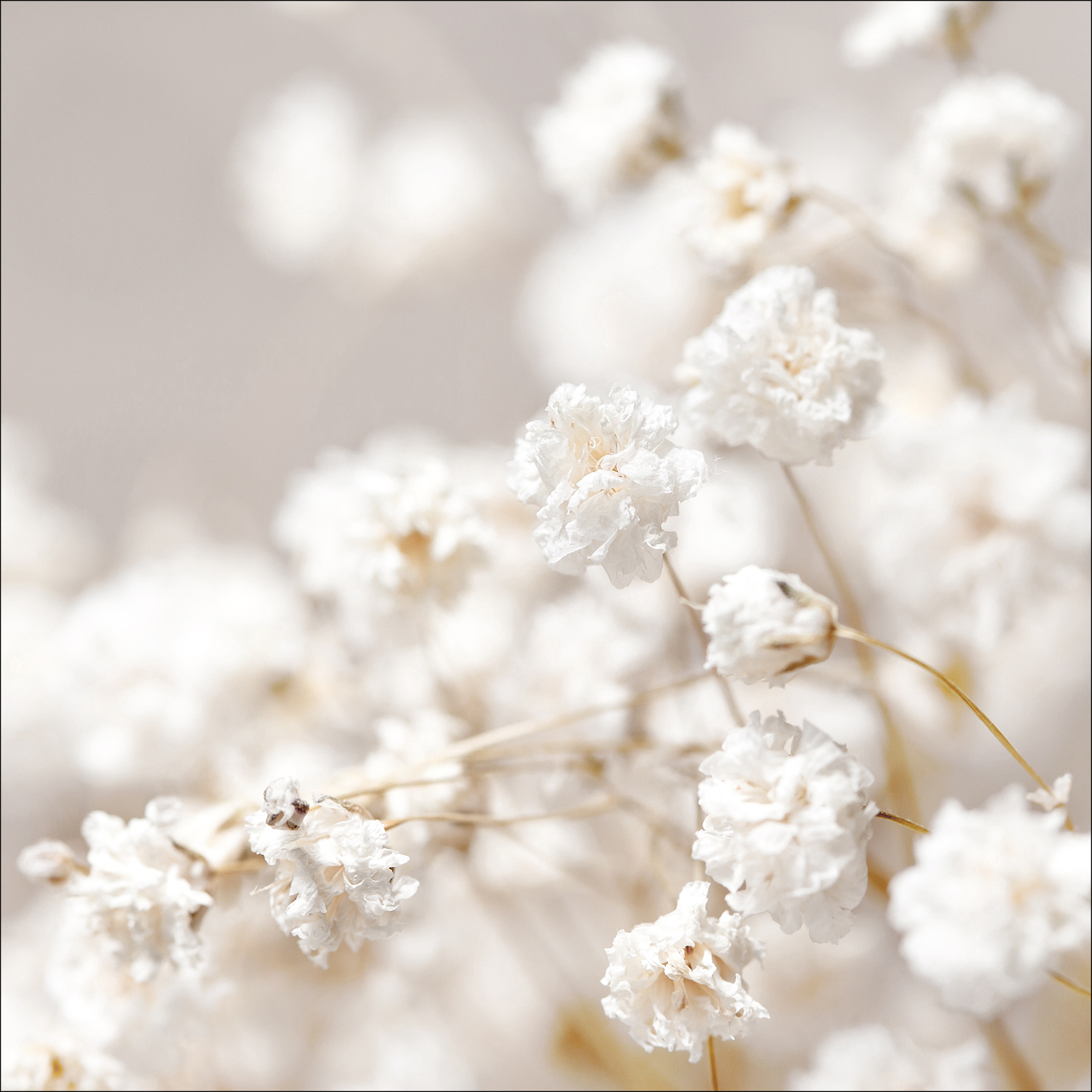 ProArt Glas-Art 30x30cm Meadow Flowers II