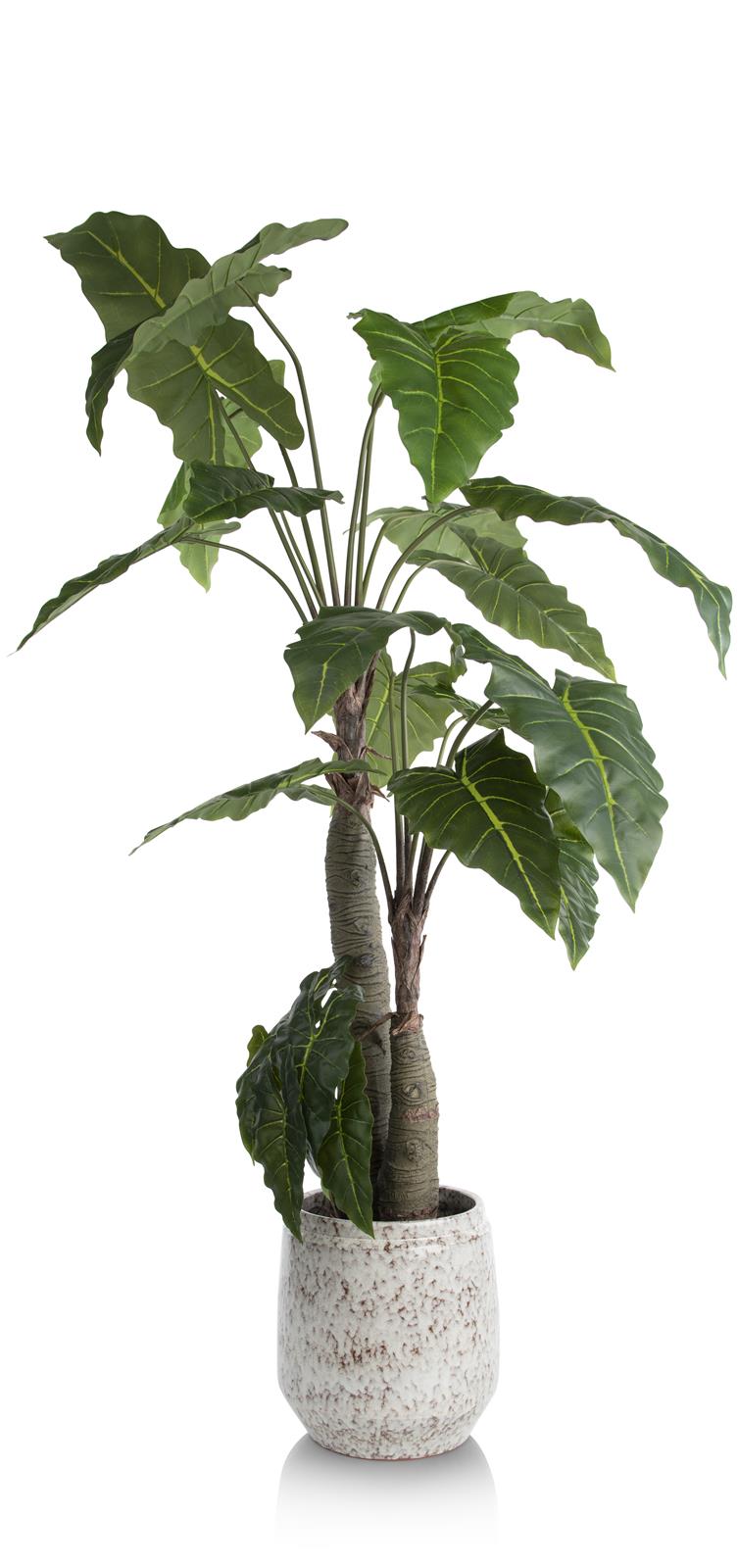 Coco Maison Kunstblume  ca. B40 H180 T40 cm in alocasia giant tree