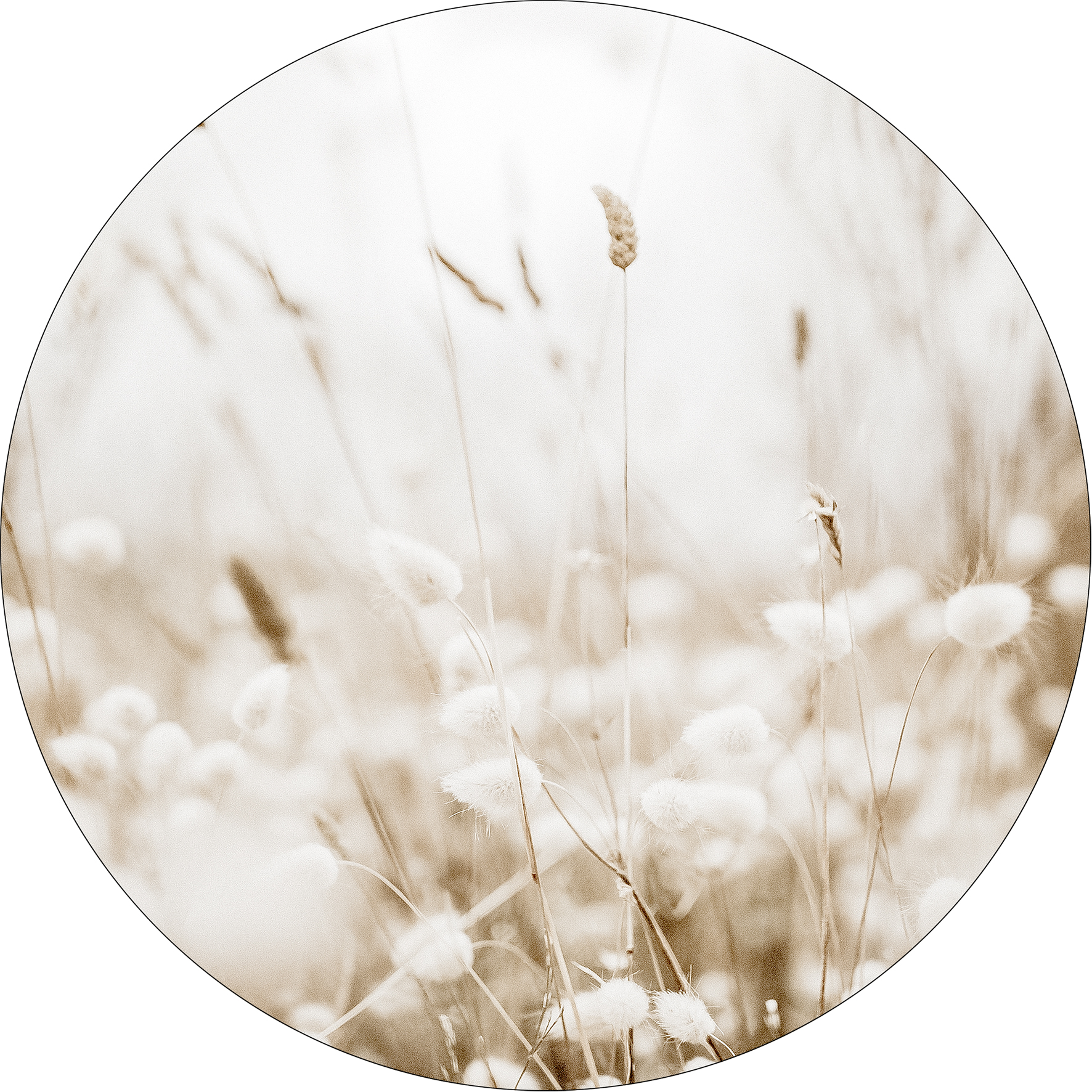 ProArt Glas-Art rund Ø 50cm Meadow Flowers III