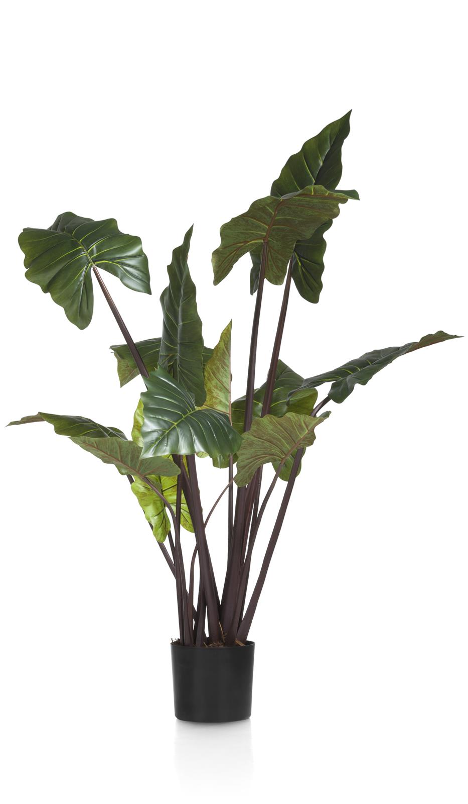Coco Maison Kunstblume  ca. B70 H130 T70 cm in Colocasia, grün