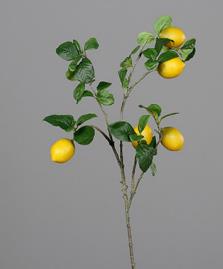 DPI Zitronenzweig 84 cm 55403 in mit 5 Früchten