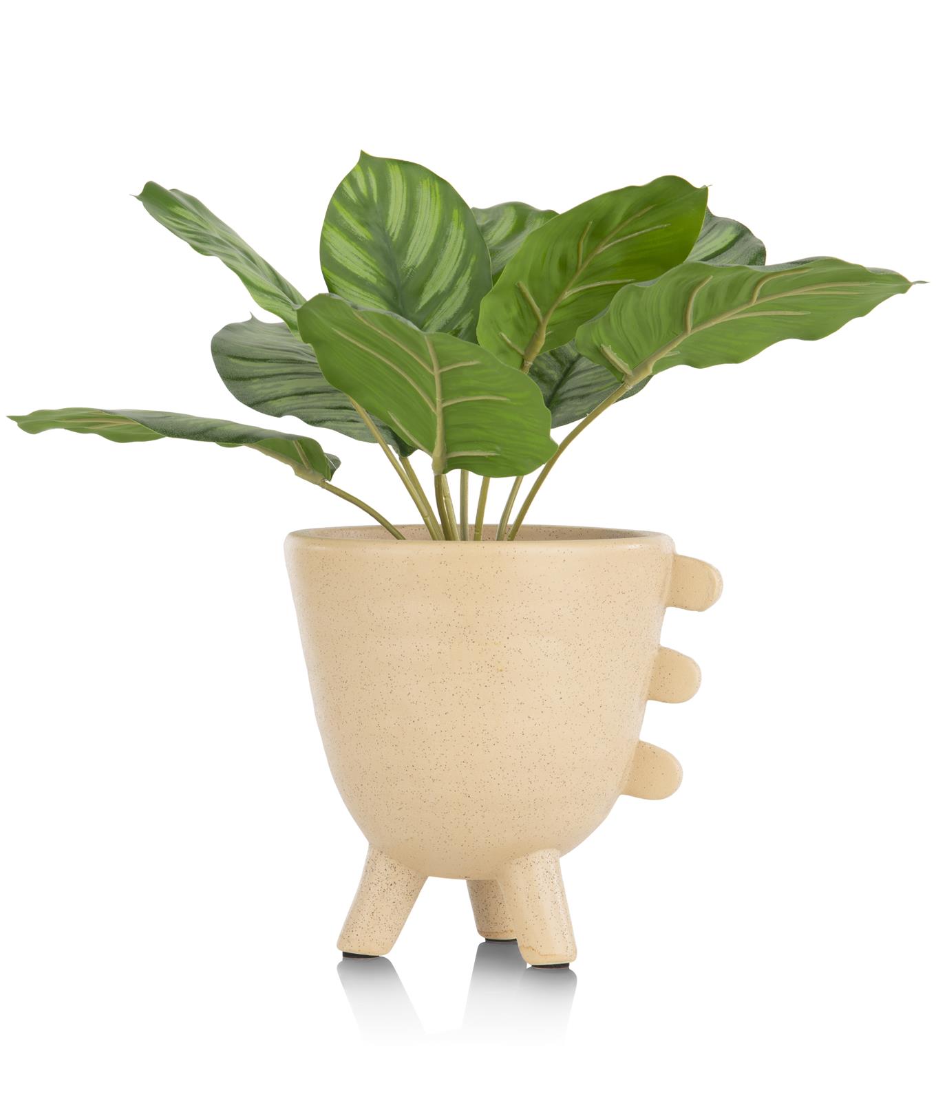 Coco Maison Kunstpflanze  ca. H45 cm in Calathea Orbifolia