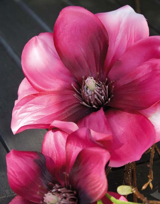Magnolienblütenzweig 80cm  in trendy purple