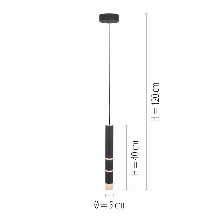 Paul Neuhaus LED-Pendelleuchte PURE VEGA 4-flammig in Farbe schwarz, Lampe