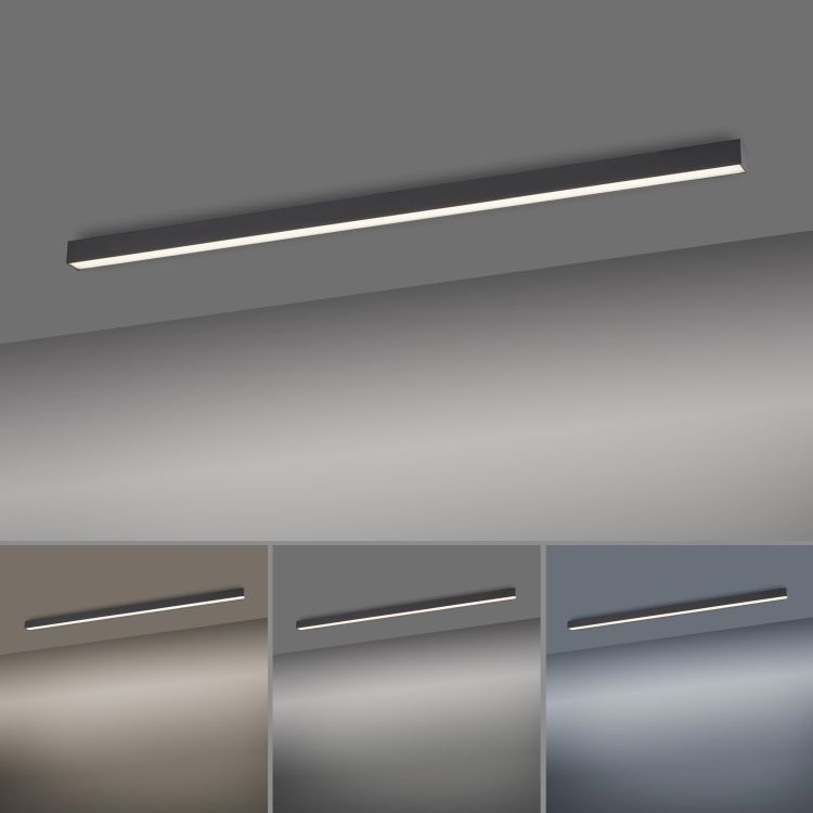 Paul Neuhaus LED-Deckenleuchte PURE LINES STRAIGHT 1-flammig in Farbe anthrazit, Beleuchtung, Aluminium