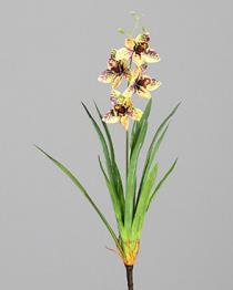 DPI Orchidee Cymbidie 60 cm  in mit Blatt