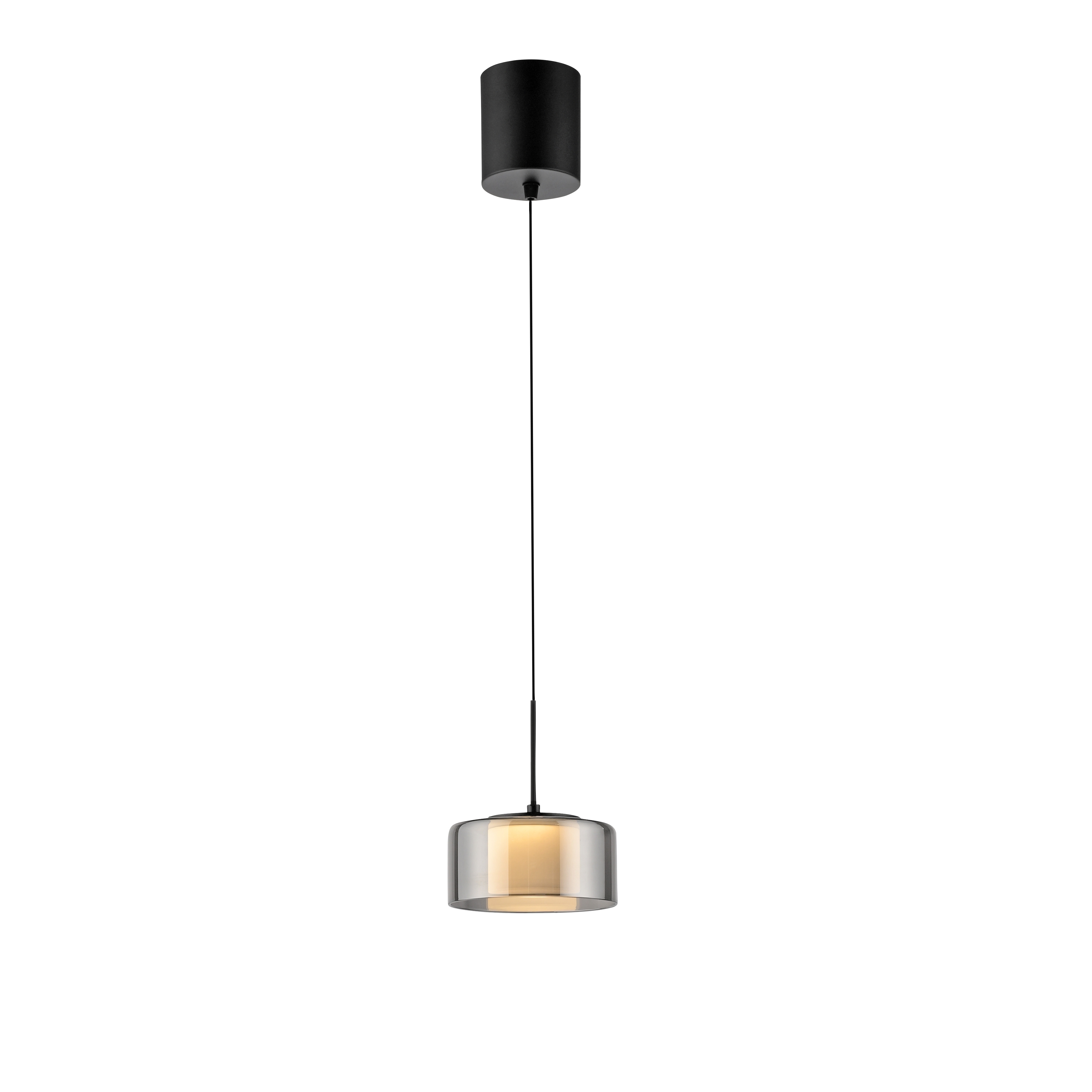 Paul Neuhaus LED-Pendelleuchte RIKA 1-flammig in Farbe schwarz, Lampe