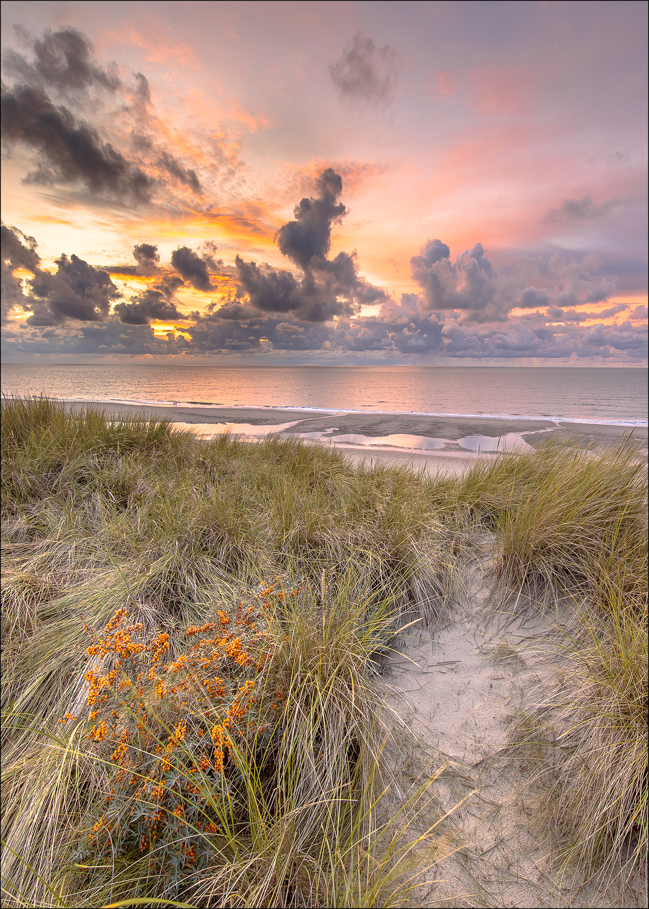 ProArt Alu-Art 70x100cm North Sea Sunset II