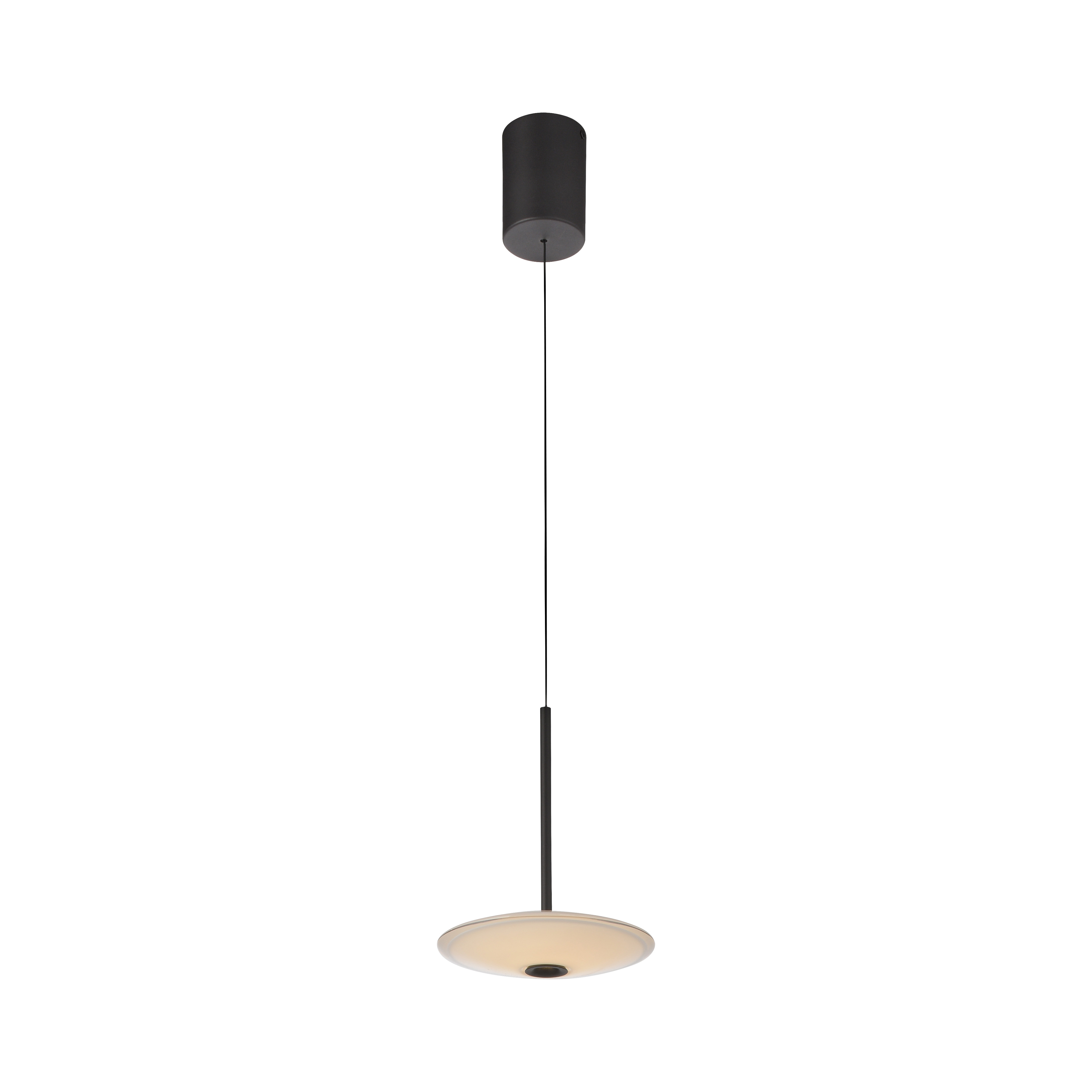 Paul Neuhaus LED-Pendelleuchte ELIPSA 1-flammig in Farbe schwarz, Lampe