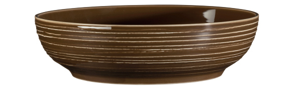 Seltmann Weiden Foodbowl 25cm Terra 3 Erdbraun