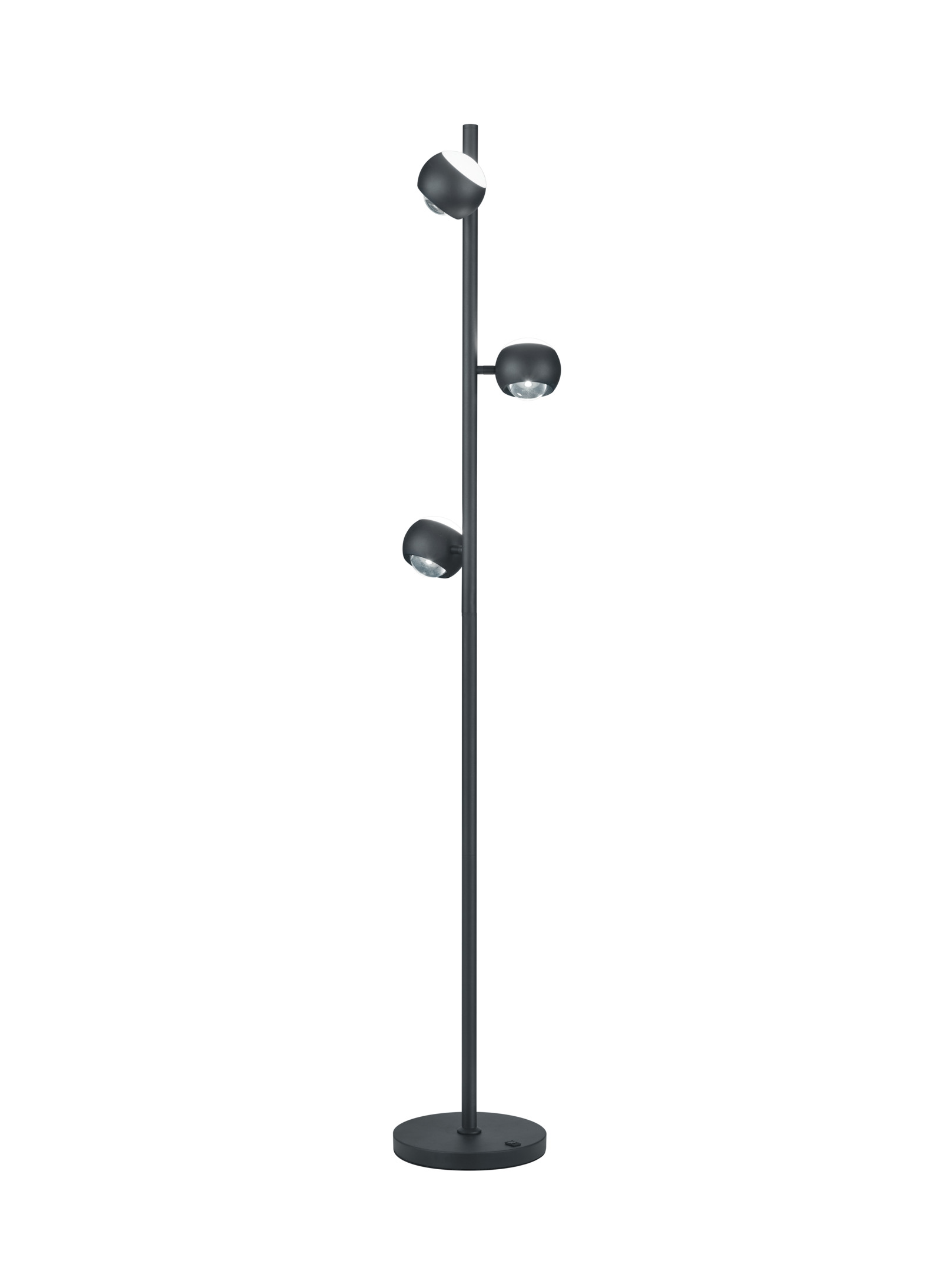 Musterring LED-Stehleuchte Cannon MR44443132