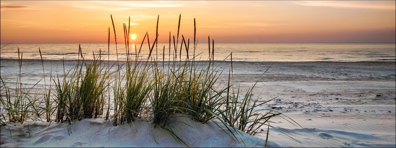 ProArt Glas-Art 80x30cm Lonely Dune, Natur, Draußen, Himmel, Strand, Schilf
