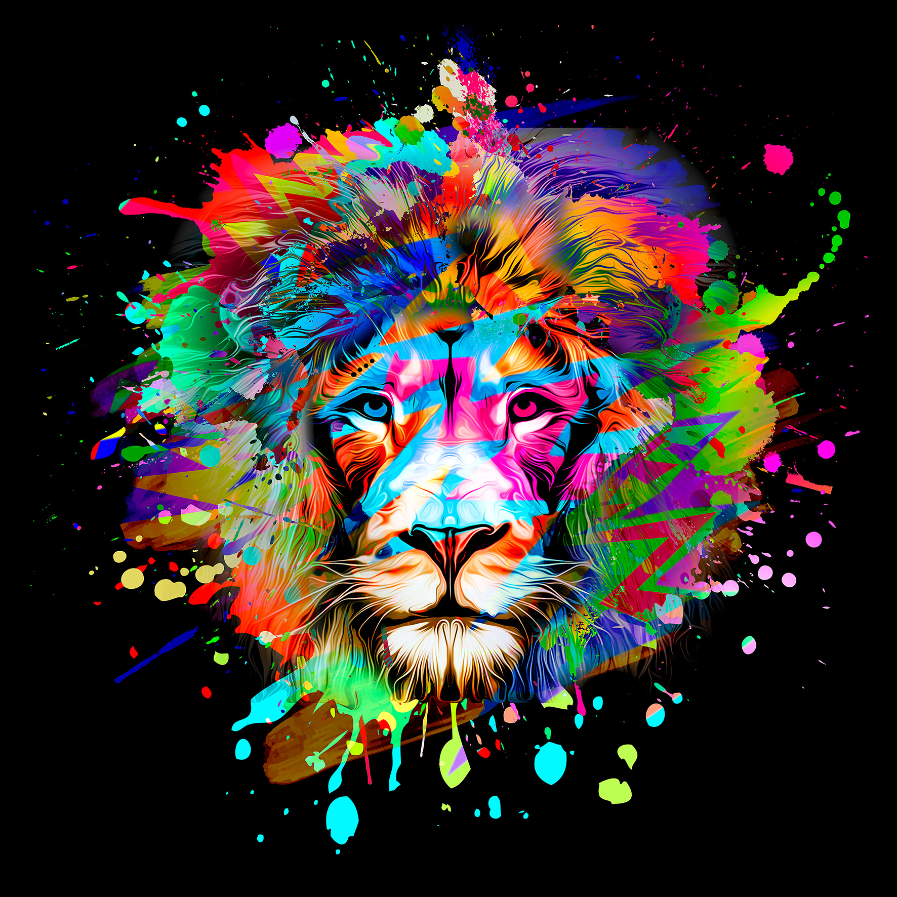 PRO ART Canvas-Art Junges Wohnen 40x40cm Colorful Lion Head III