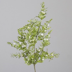 DPI Blütenzweig in Farbe cream