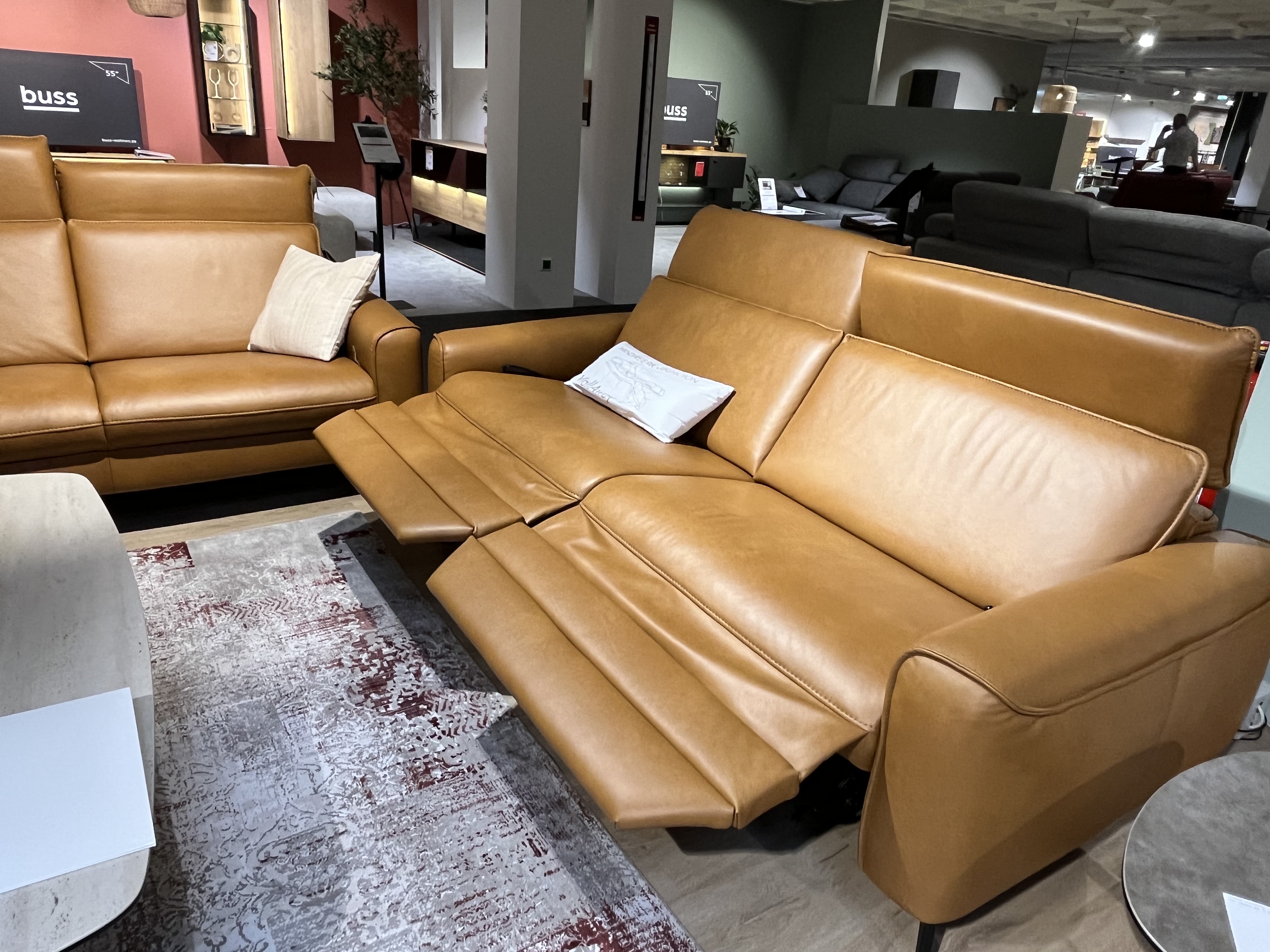 Interliving Garnitur INTERLIVING 4061 in Leder Cloudy saddle, Moebel, Stuhl, Couch, Pflanze, Sessel