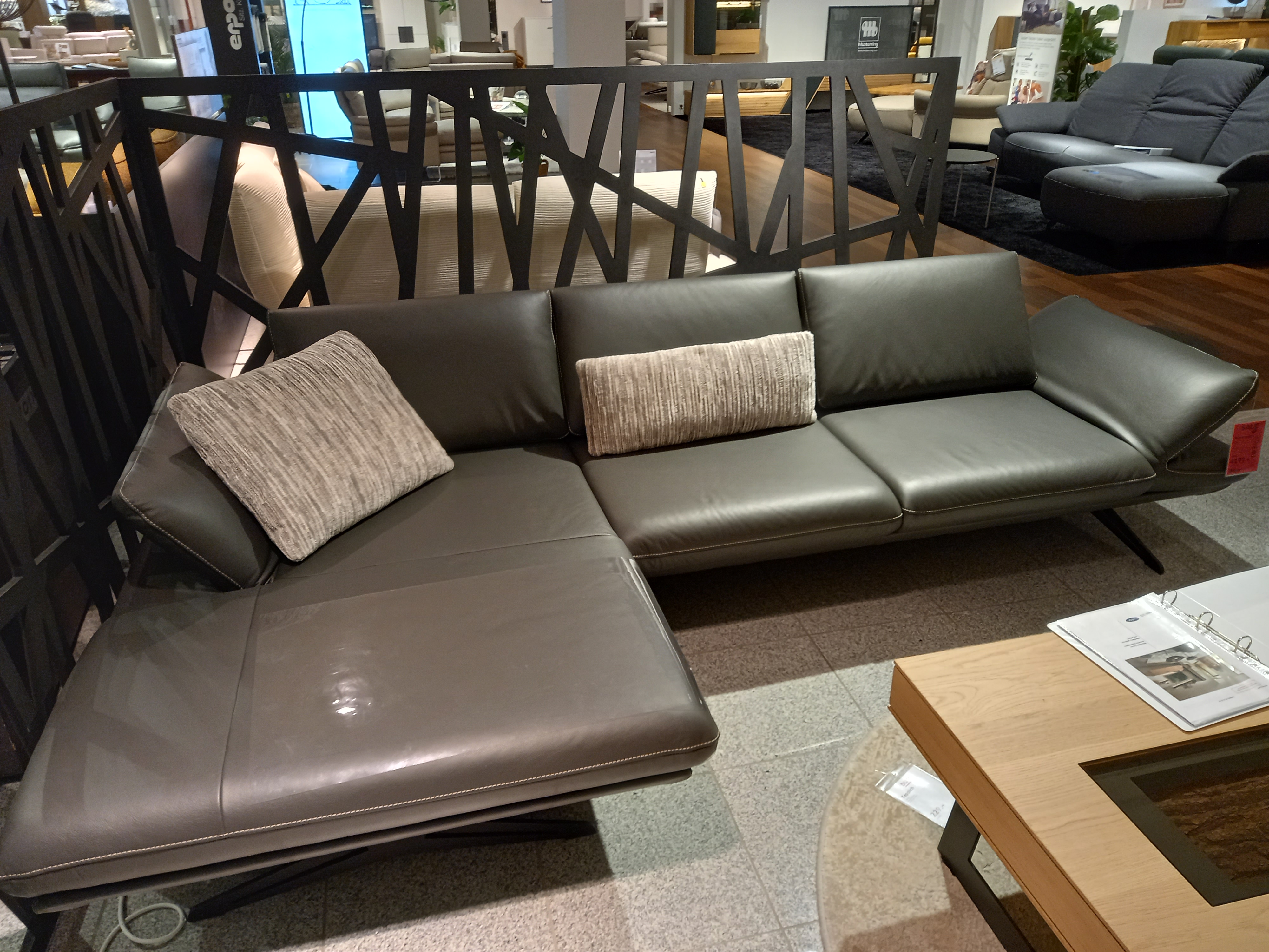 Koinor Polstergruppe ELEMENTS in Leder X-Happy metal