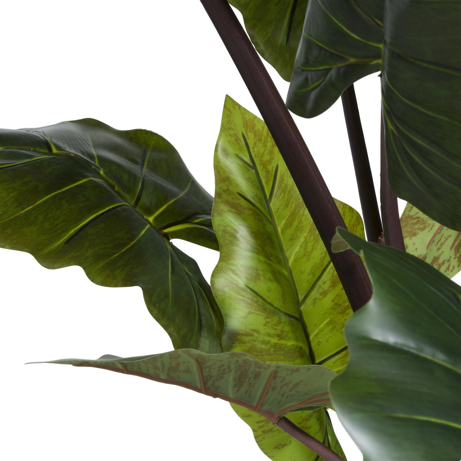 Coco Maison Kunstblume  ca. B70 H130 T70 cm in Colocasia, grün