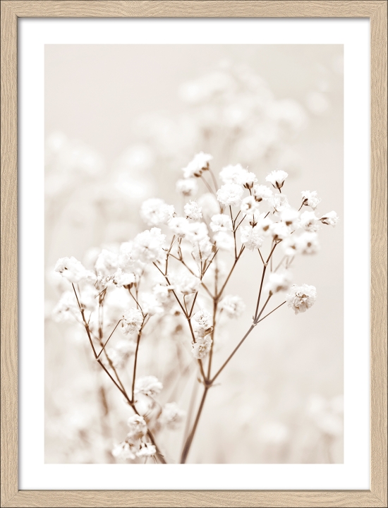 PRO ART Framed-Art Slim Scandic 43x33cm Dried fieber in the wind II, Blume, Pflanze