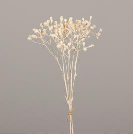 DPI Wiesenkopf Bund 2x  in 46cm Fb. cream