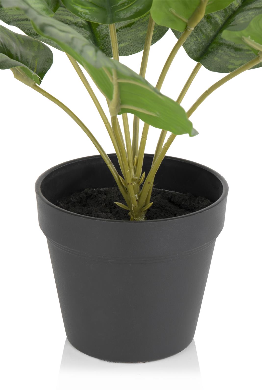 Coco Maison Kunstpflanze  ca. H45 cm in Calathea Orbifolia