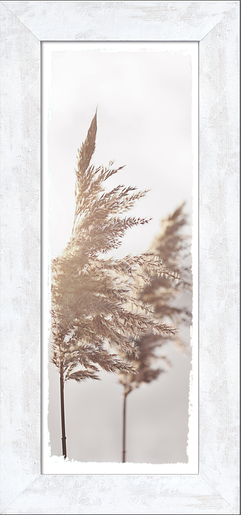 ProArt New Classic Wood 44x94cm In The Breeze lll