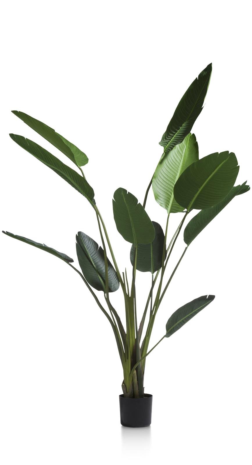Coco Maison Kunstblume  ca. H150 cm in Strelitzia Nicolai
