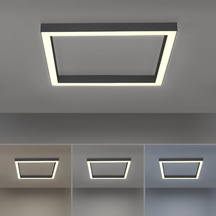 Paul Neuhaus LED-Deckenleuchte PURE LINES SQUARE 1-flammig in Farbe anthrazit