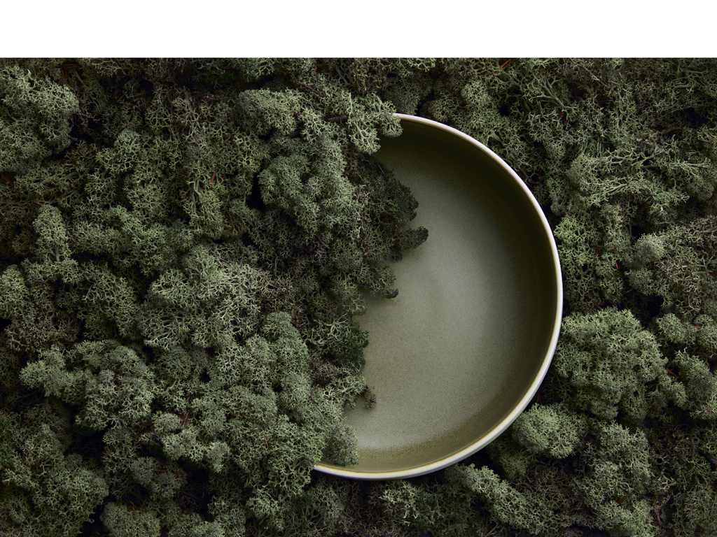 F&H Salatschüssel STUDIO ROUND NORTH in Farbe Matte white/Matte moss